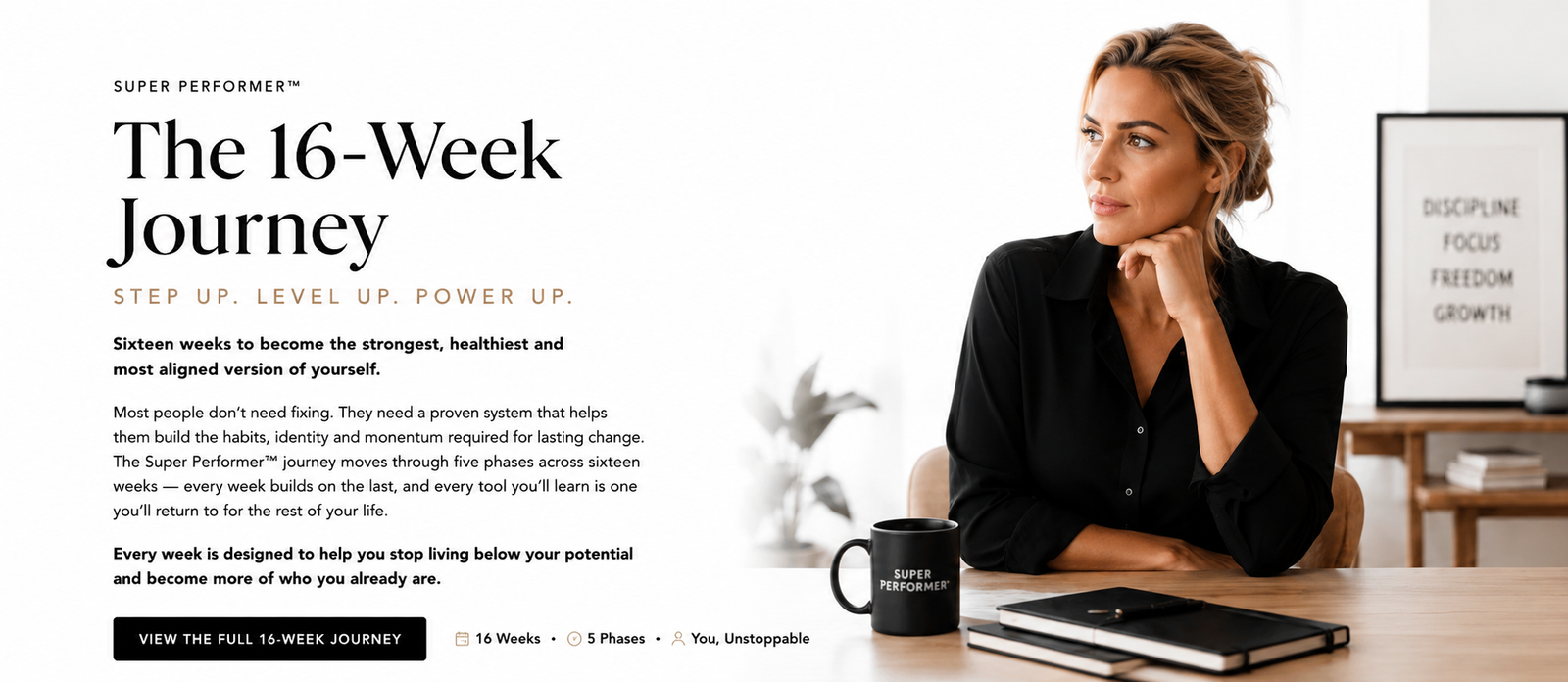 Hero section design for Super Performer showing the overview of what people can receive after the 16-weeks program